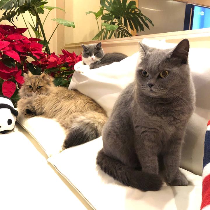 8239a408 b959 49da bec6 6520d4ab8588 1548762307906