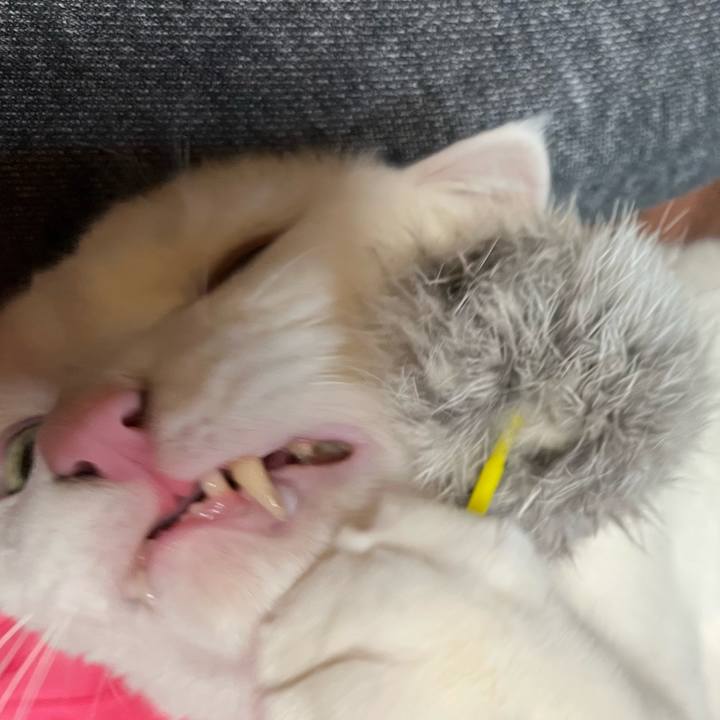 8239a854 8c6f 41eb 9711 044efd4db076 1737460683237