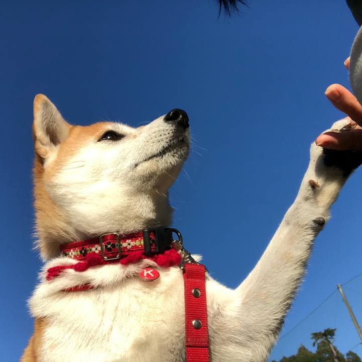 8239b6b3 cd41 4fea a2db c8153d22ed86 1576455653111