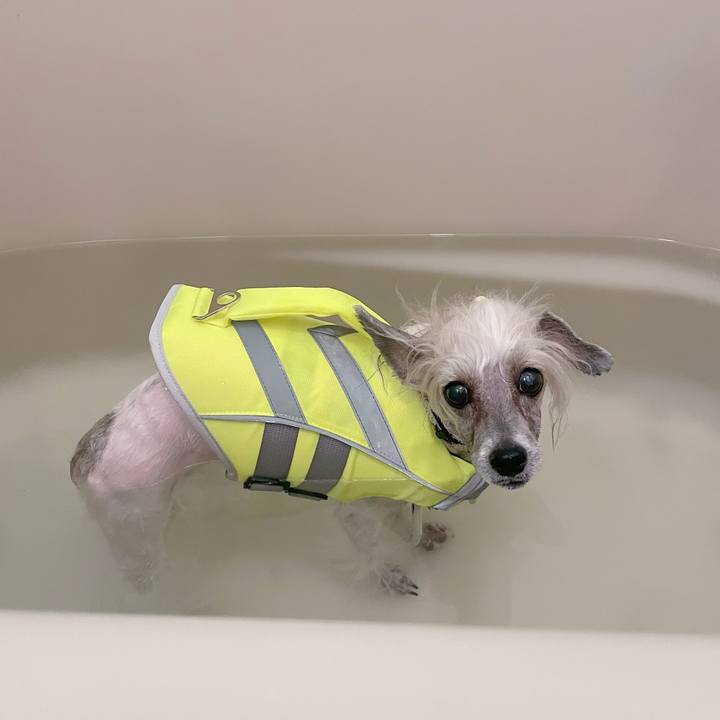 8239c25b 4489 474b 92fc 700fc65bce84 1774239824678