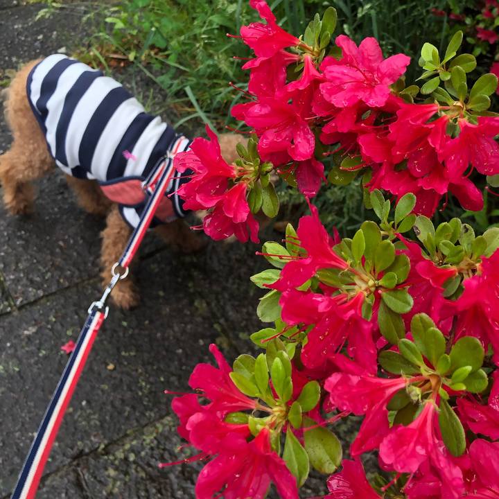 8239df84 7e22 44c8 ab42 9e4e338a0f4d 1652749529208