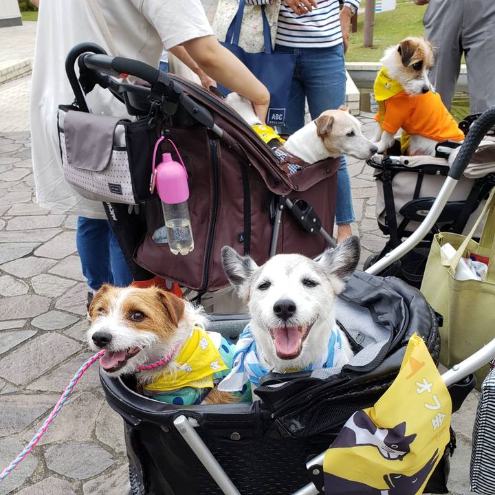 823a1881 ee3a 44fd a11e 8694a18961a7 1559997182435