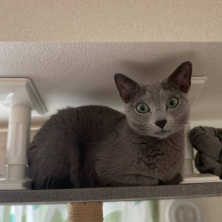 823a193e 1341 46bc a527 36ebbc58cc69 1665665283162