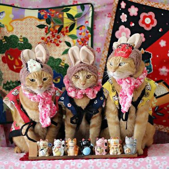 823a6ee9 8628 4eed 8182 07e6032726d6 1549152851685