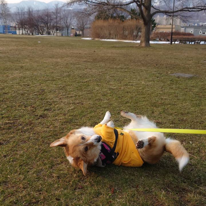 823a80d5 83c5 4f43 b758 a308d93f3cc9 1774828101437