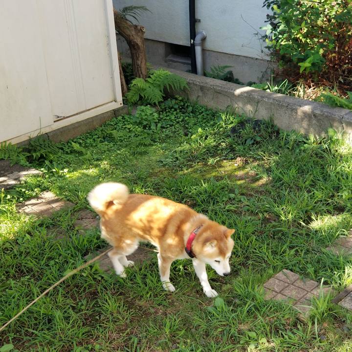 823aacb1 3d87 4f3f a5f5 510665865570 1727218801076