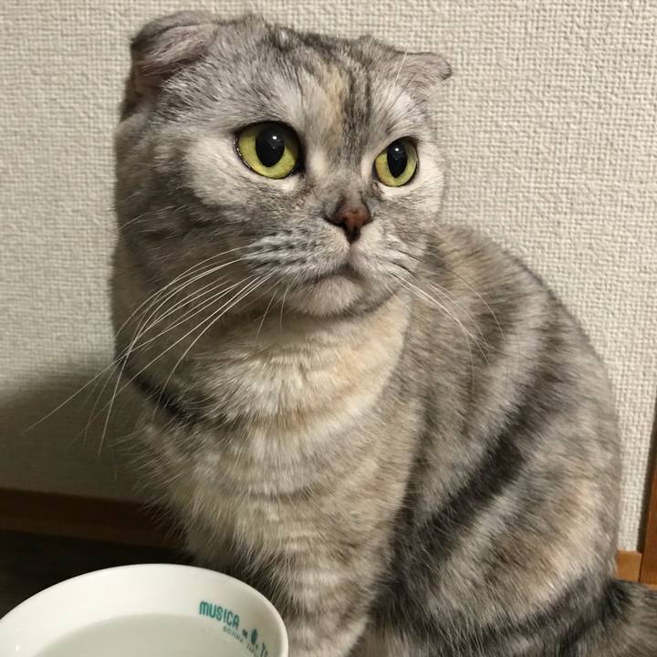 823ab7c6 8a99 49b2 a63b 6f0d2c71882b 1519108978890