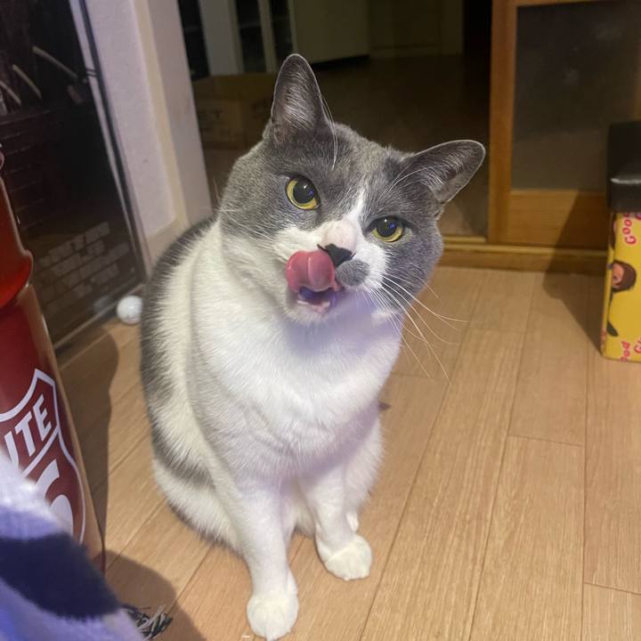 823adc0b e2f9 4e85 b3be 52b3bc5f9244 1682859739866