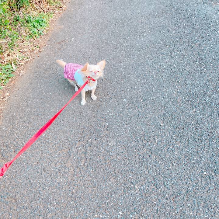 823afe78 3816 456d a0fb 9ef33b885ec9 1637756910214