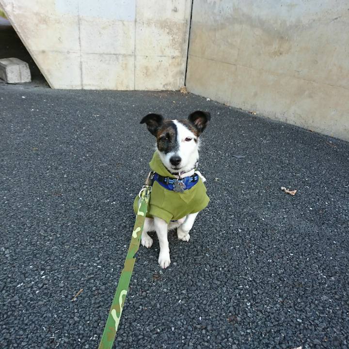 823b0d72 233a 4300 b40f 293ff6e8ffd9 1510784859780