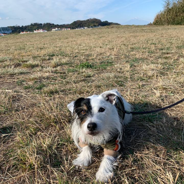 823b0ddb 48ce 4925 90da 482e55b27bcc 1701305080746