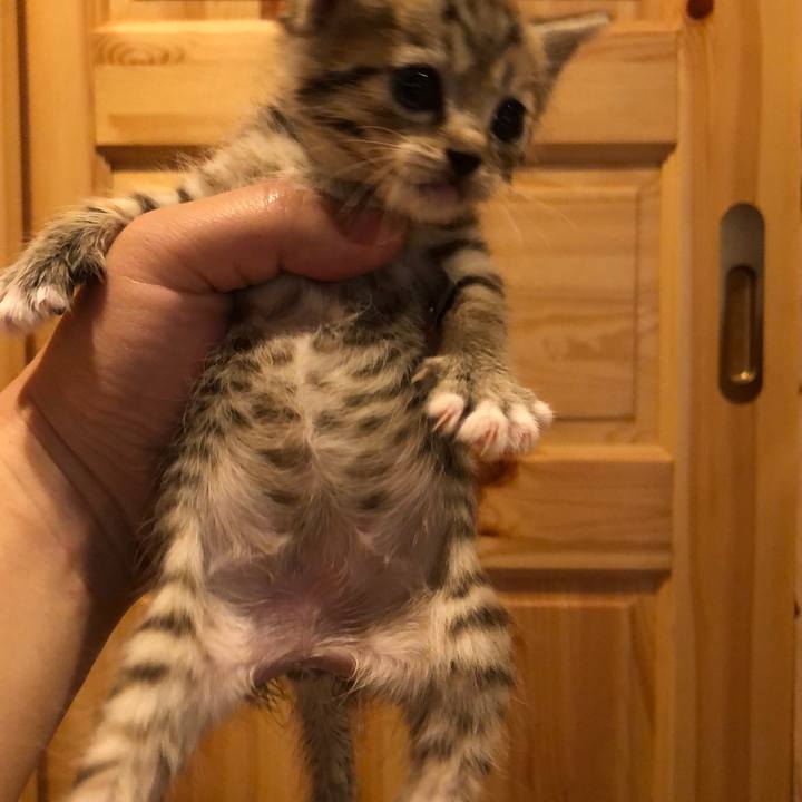 823b169e 745f 43e2 868d ad77f5f3cfd4 1539391660064