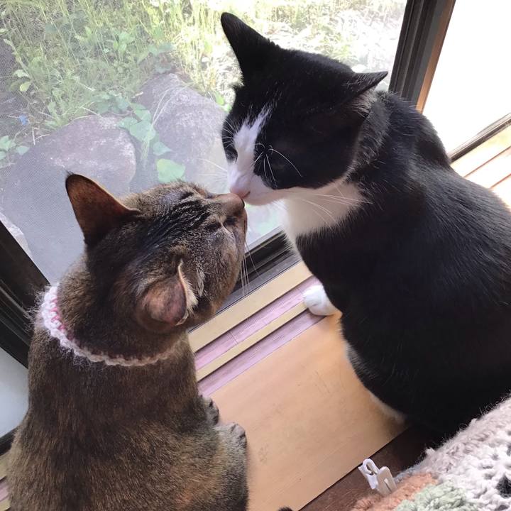 823b3264 71a2 401a a01e 7ba09a77fdc3 1651273306886