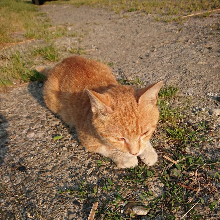 823b3ed4 95c3 4a5d a53b b94baffb80c8 1559508556211