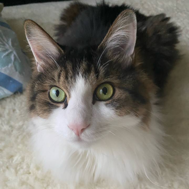 823b43aa 59d1 46d9 a6ec ae06b8e1b5f4 1665008735804