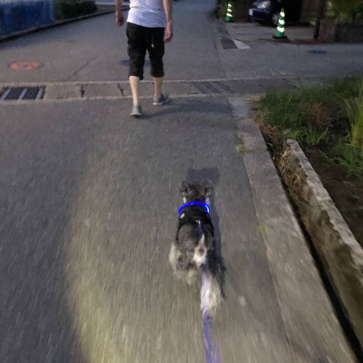 823b61ac 5d76 4ad9 8a7b d9f47c0f468c 1691071438390