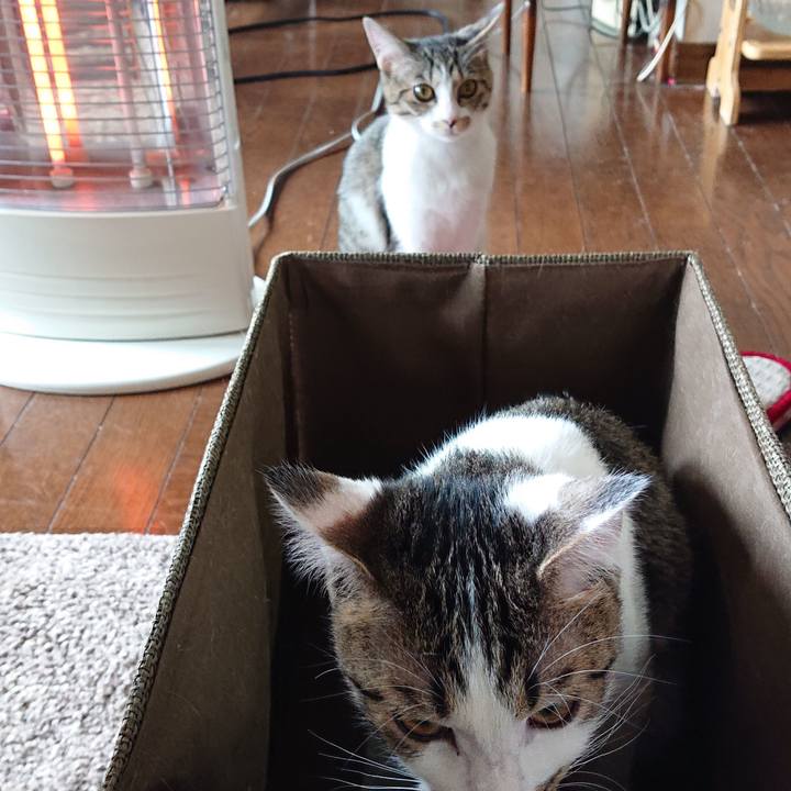 823b867e 7c9e 4988 bae1 b9f3b11e1cd5 1553041956074