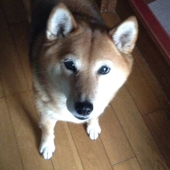 823b8b25 0eaa 4bc9 b34a f46f0e8c54f4 1544079314855