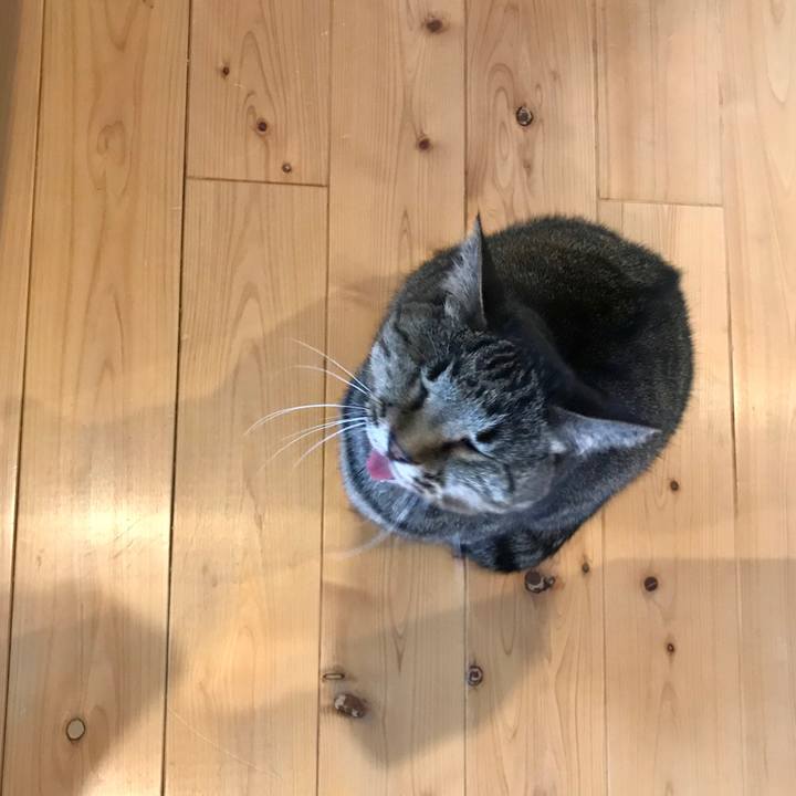 823b8fc6 901e 47cc 8f81 21db1ab3d04b 1586868070366