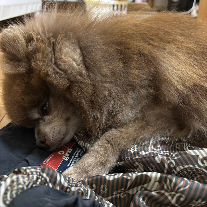 823be915 361f 417e 82ac 4f99bb4dd5ba 1766309060274