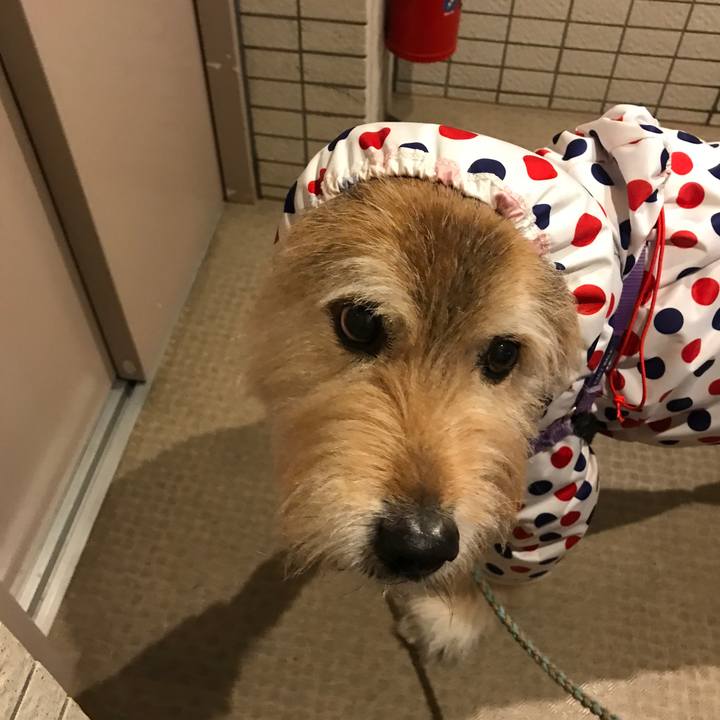 823c136e df95 4c27 8257 d4a861a8d8d7 1680919515701