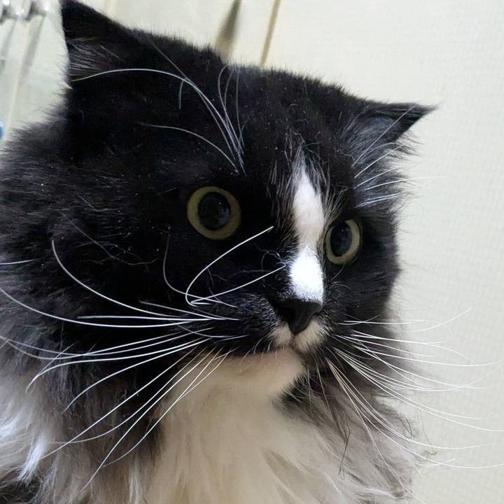 823c24ce 7e8b 444b 91f9 9033b54fcf6c 1771686349753