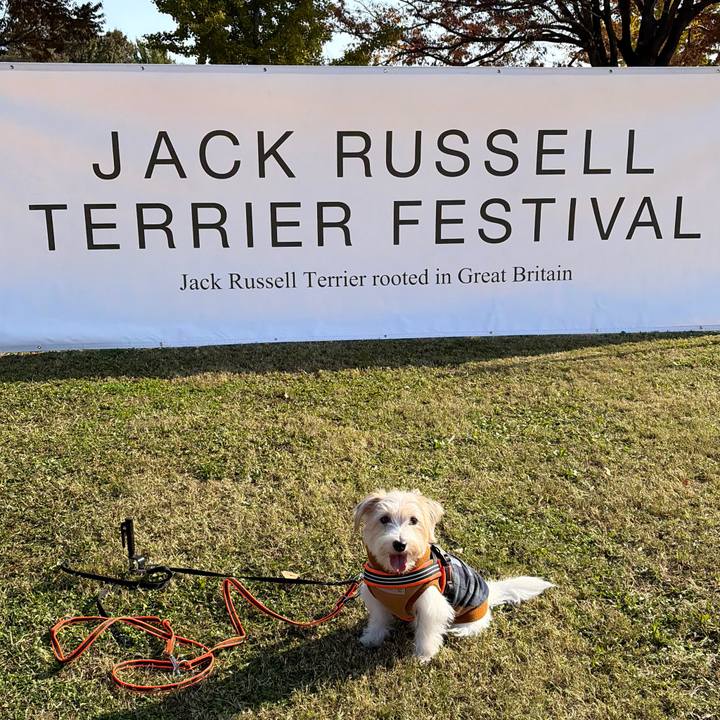 823c2503 10c8 436a 817b 7cb4459426cf 1763260309921