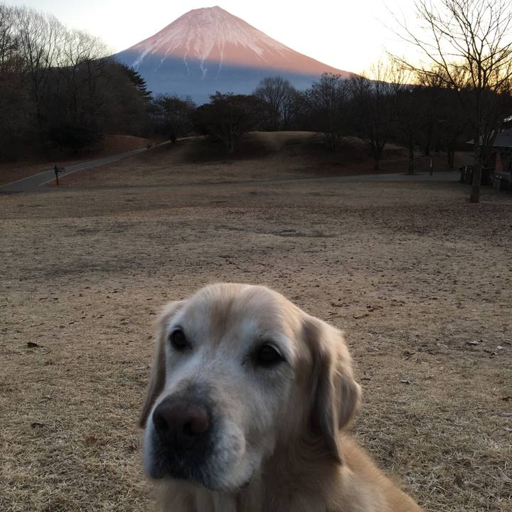 823c2988 9f30 41e5 9fcc 4d93144fe91e 1514884439268