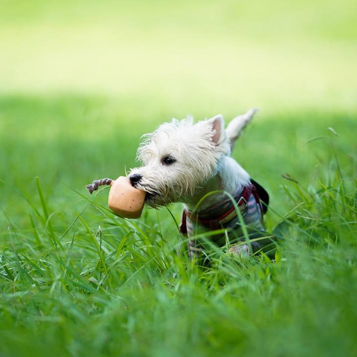 823c2b9d 0dc8 4f1a b873 d752b7218200 1534854400631