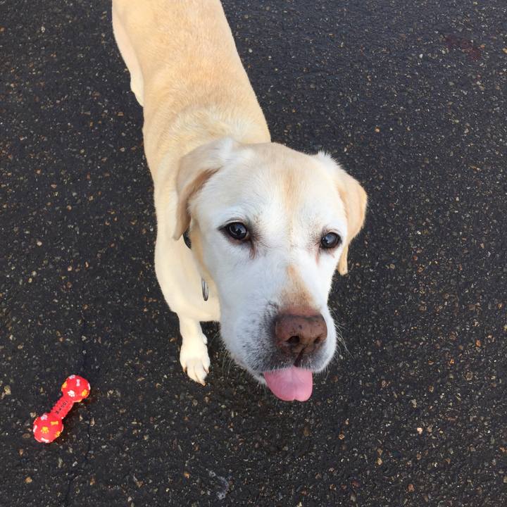 823c3226 a508 4adc 9276 0fd87149bc87 1516261380997