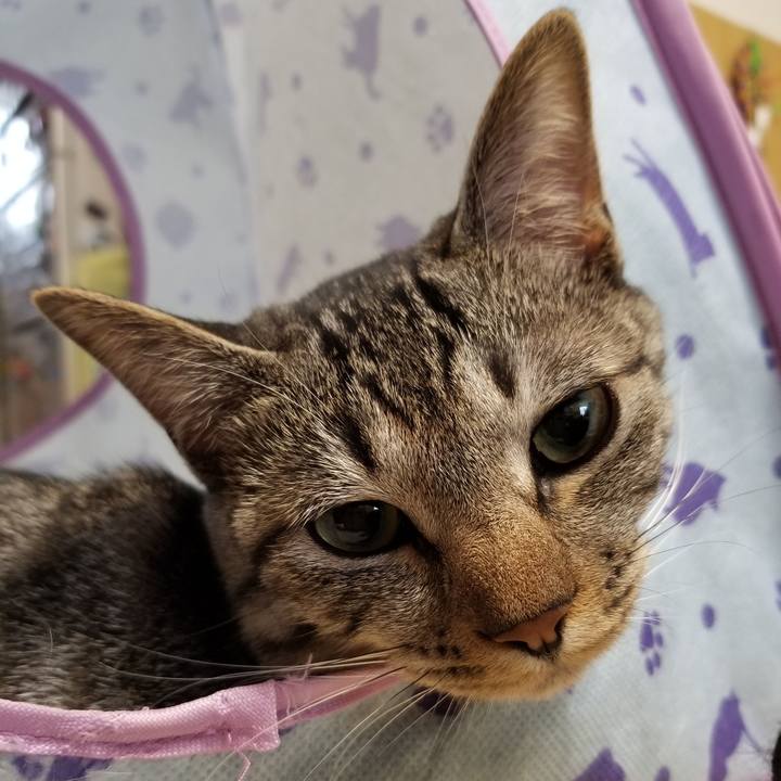 823c4358 bc36 40a5 b5a2 a39a9c574a9e 1682434929020