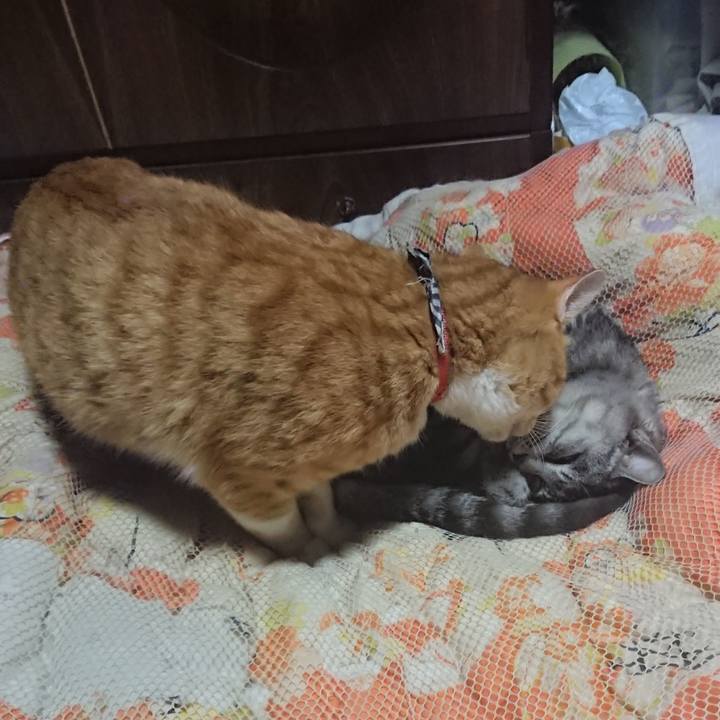 823c555c fc32 4ff6 8221 c0a206beb1d3 1572265865237