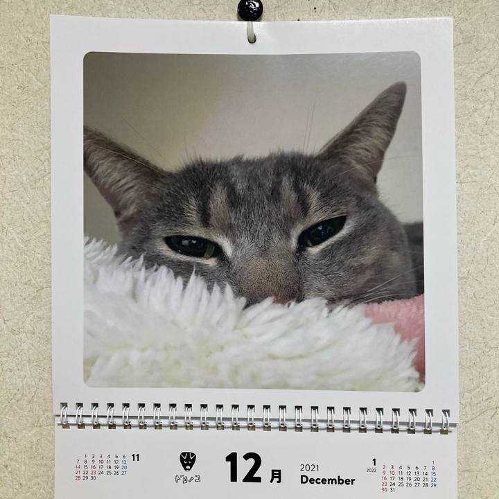 823c633b c3a6 4e40 b62e 34f1dd8b6a3d 1638327660888