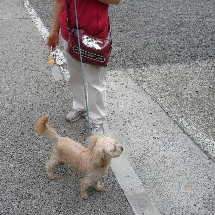 823c723b 1f27 44c7 9274 84795a3a0e54 1560569920906