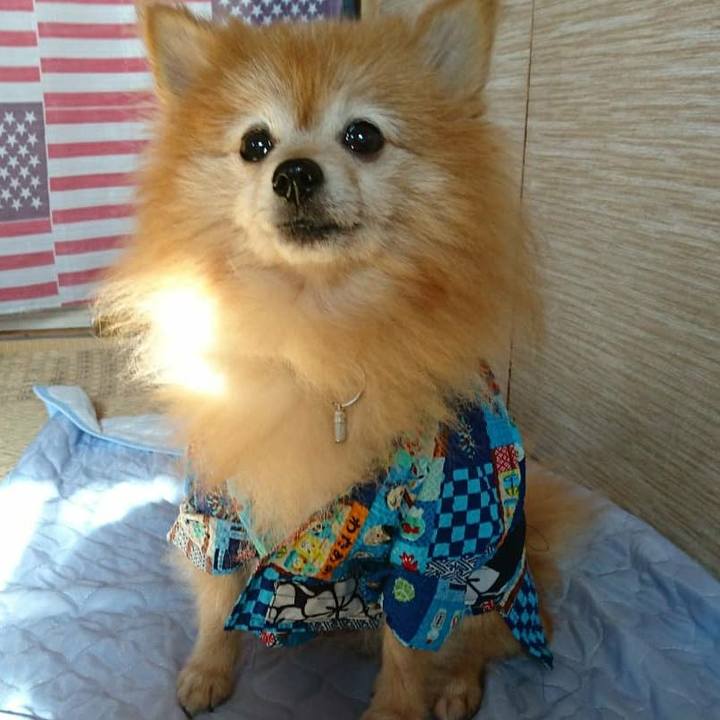 823c9cef 5477 475f b5d1 393d3fd4ada6 1536187030326