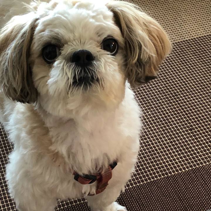 823ccf5a 5fb7 4239 937b 590d5975d3ce 1531949655929