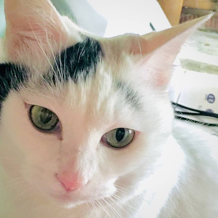 823cd0dd 9562 431c a1d9 5753d86d0c86 1576559509824