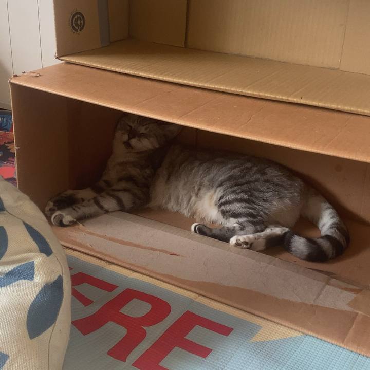 823cd7bb 1753 4d05 ac0f b7af800ef016 1726361085094