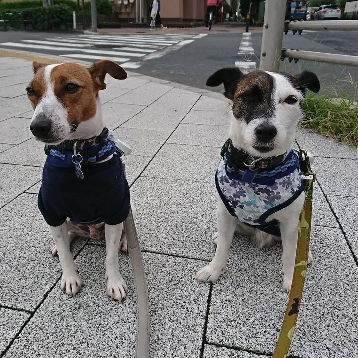 823d0a34 bd03 43e7 94d5 d310e5799482 1537305820356