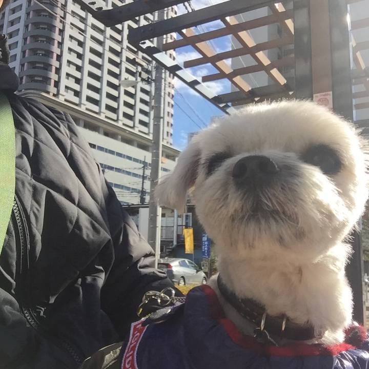 823d0a83 c54c 4663 a865 973ab291b1b9 1513502488200