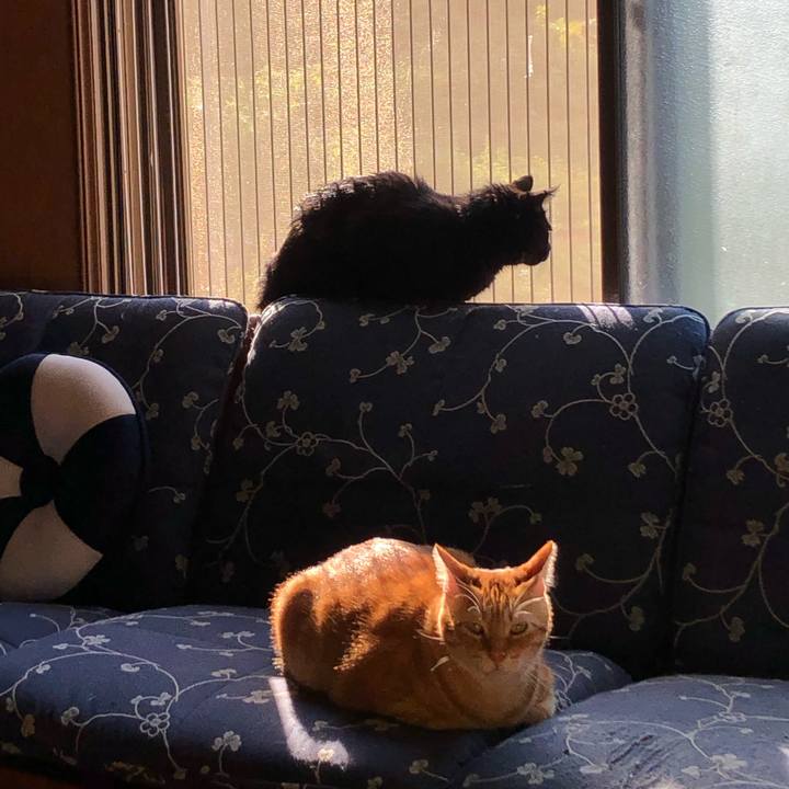 823d1472 5df7 4b1e bb00 2b1e7fa150f7 1569649935021