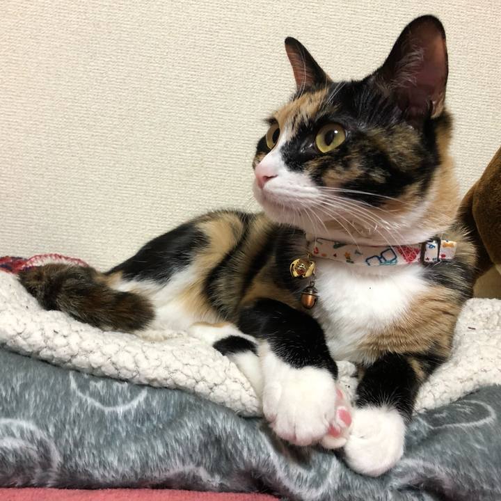 823d1652 35a6 42be ab5e 43a185399e10 1576656780695