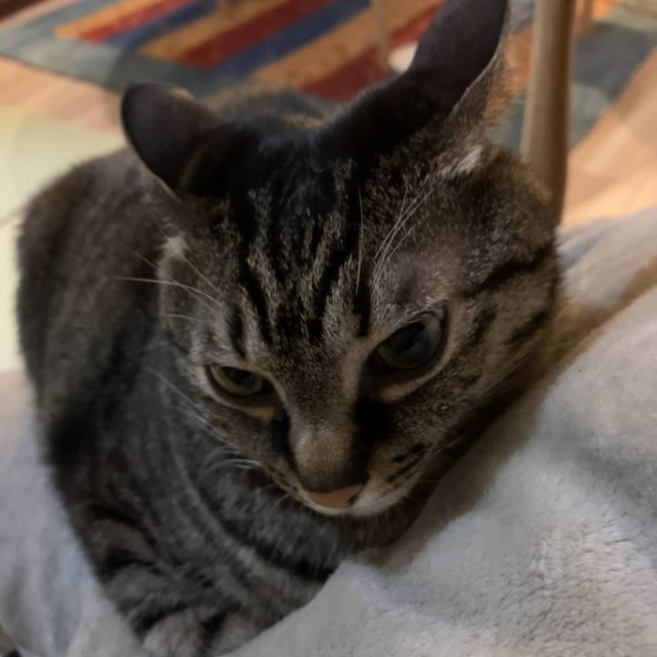 823d40d4 5194 46e2 8f00 fa3dcf53a7ea 1611743093953