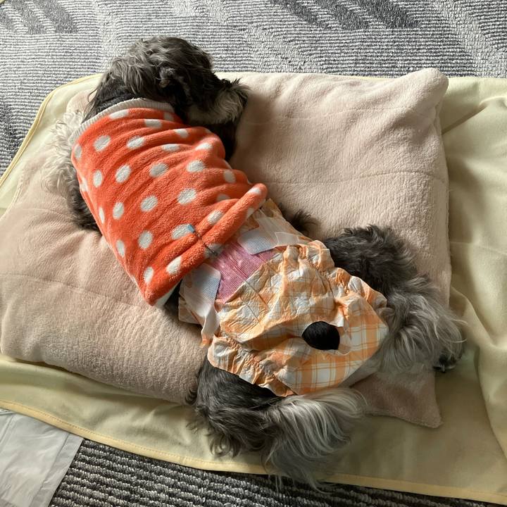 823d4abd 04a7 40db 9cd7 1c75dbc4f445 1774666422303