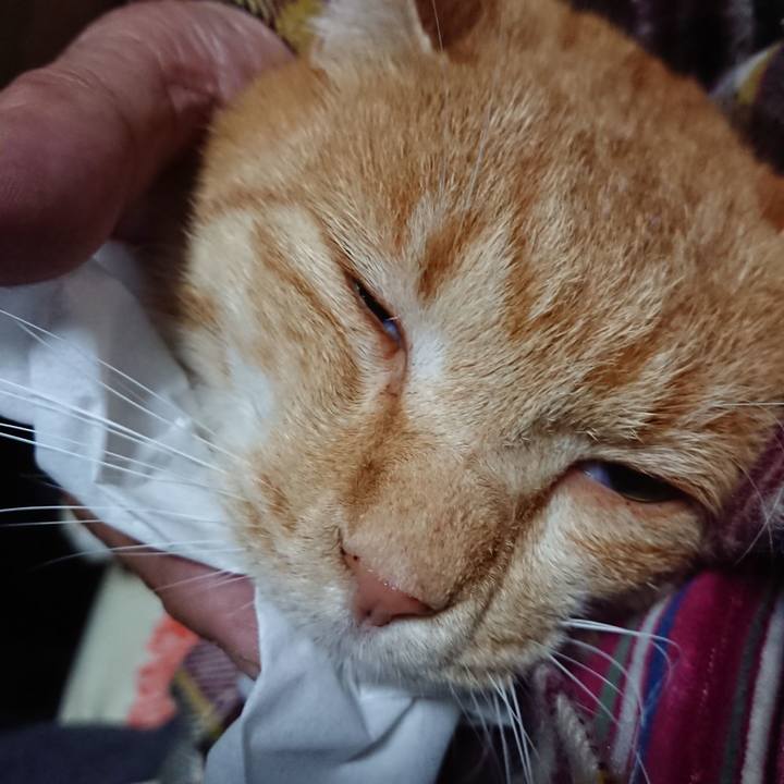 823dbd37 5a43 482d aefb 9bc899a2ca37 1576359609367