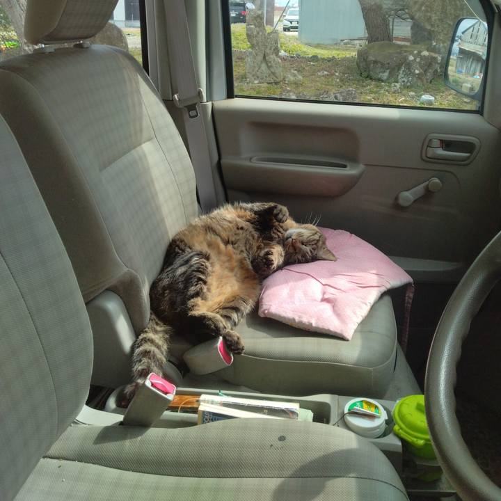 823df8c0 6ebb 4901 b32a 6b442dee716a 1712220000755