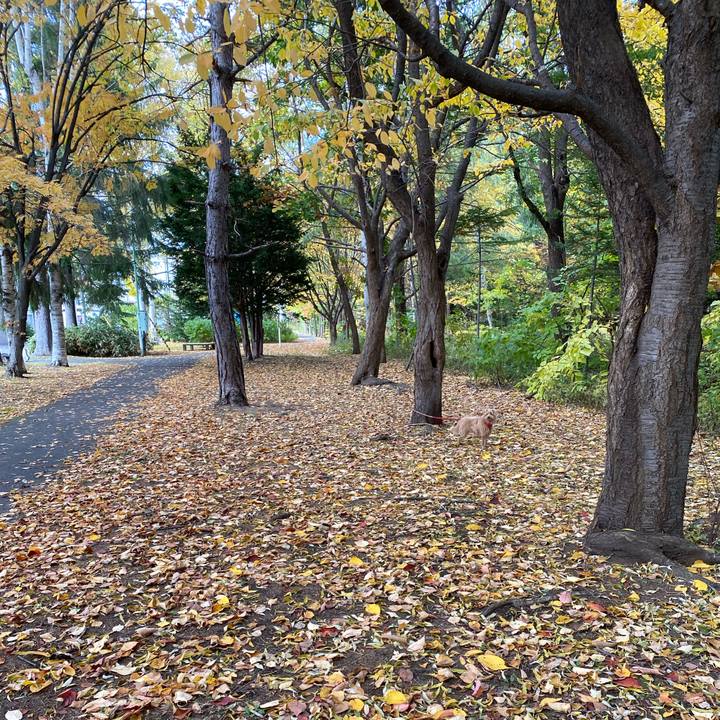 823e065b 307d 4cc3 8c97 d4b1bb080652 1698560743875