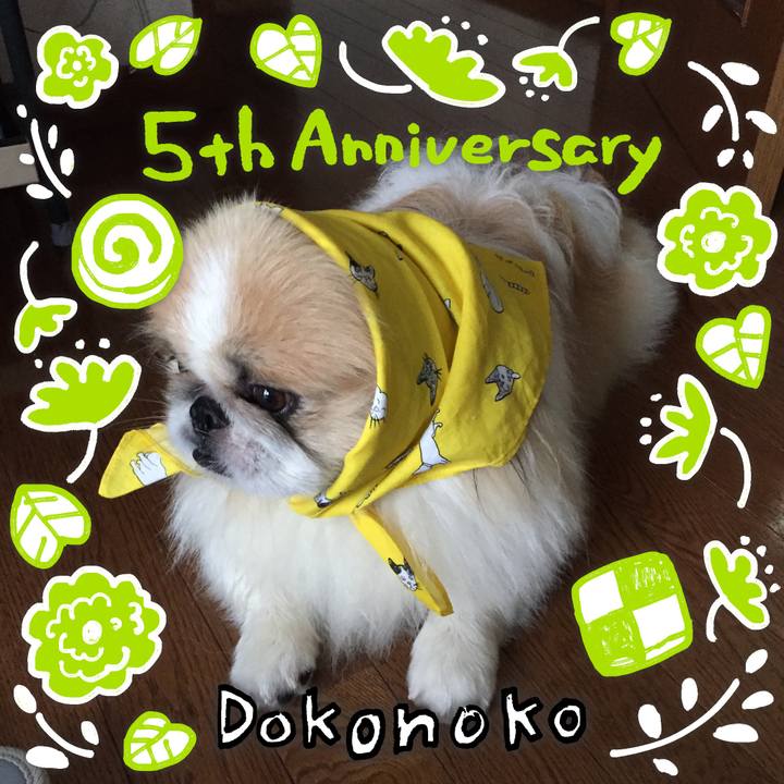 823e1e8b 8dc3 4654 9846 dd935de3eedf 1622891296076