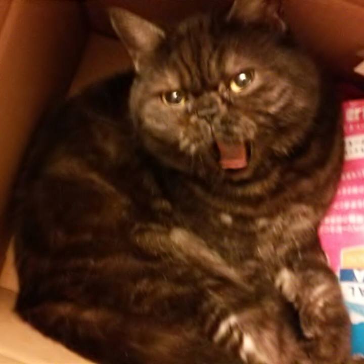 823e7c5c 6c9f 4342 9504 f35aac0438f4 1555241141000