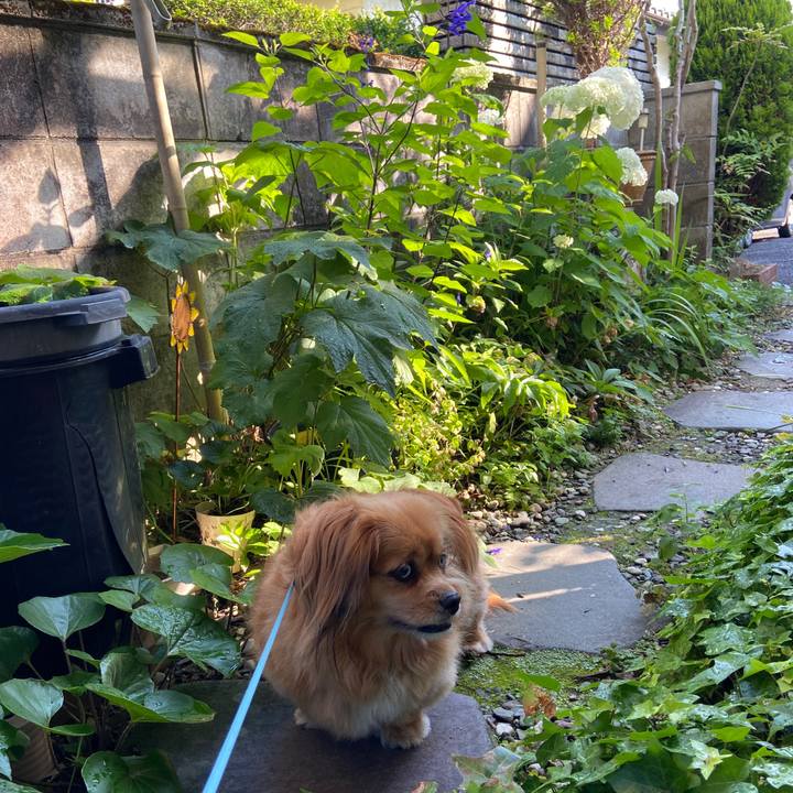 823e8631 c938 49b3 a7c7 ca875dd632fd 1654988658521